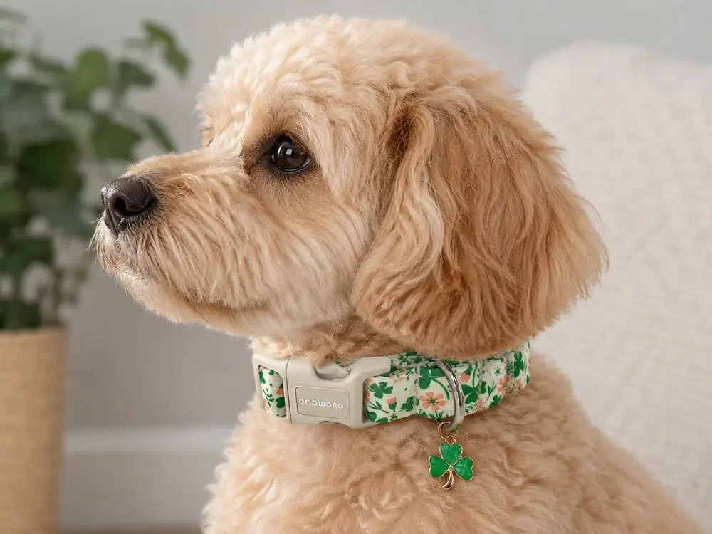 Floral Shamrock Dog Collar Cottagecore Lucky Clover Charm Dogwong 16 Inch